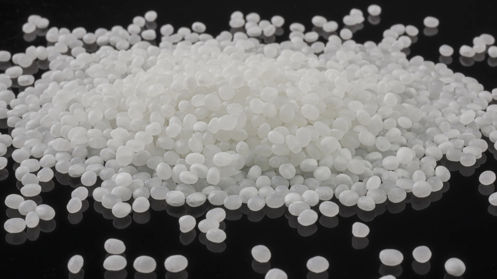 100時間以上かけて25％まで精米した京都府産山田錦